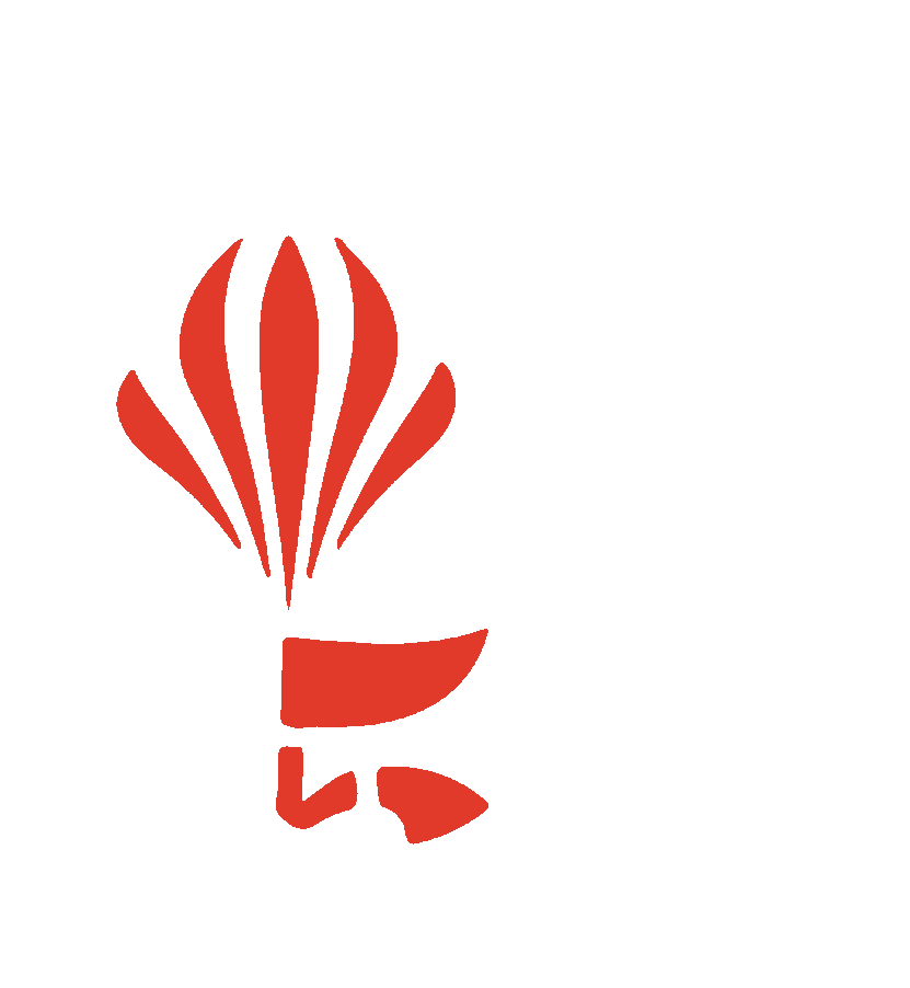 Tiger 5